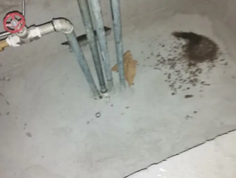 四平市卫生间测漏水价格明细